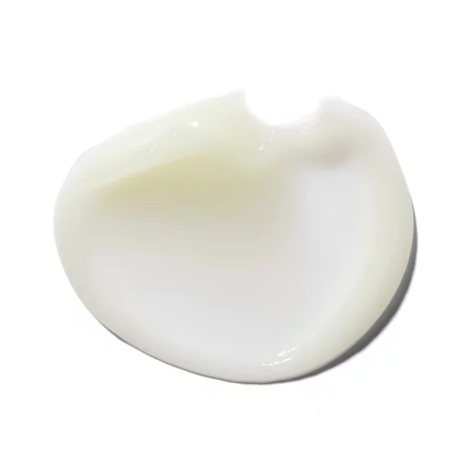 Erborian Bamboo Creme Frappee Fresh Hydrating Face Gel, 50 мл - Увлажняющий крем-фраппе для лица